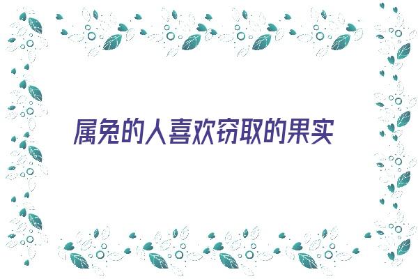 属兔的人喜欢窃取的果实《属兔的人喜欢窃取的果实吗》