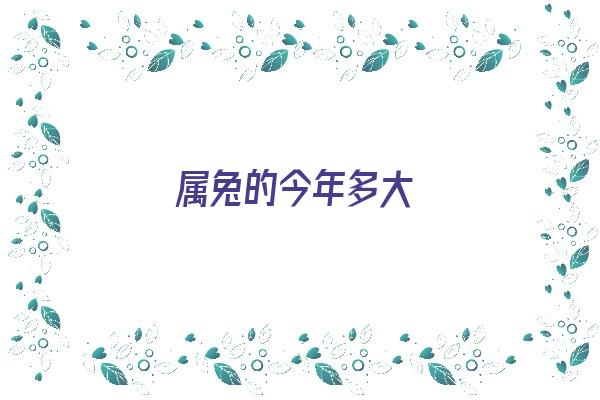 属兔的今年多大《属兔的今年多大岁数》