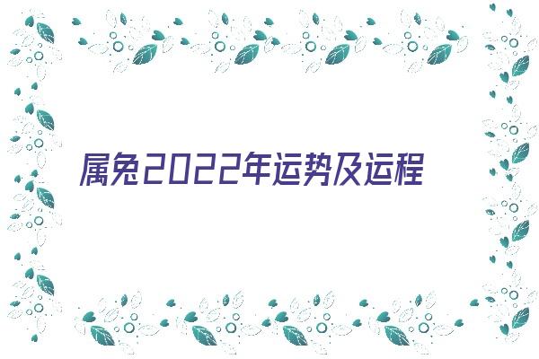 属兔2022年运势及运程《属兔2022年运势及运程1987年的兔》