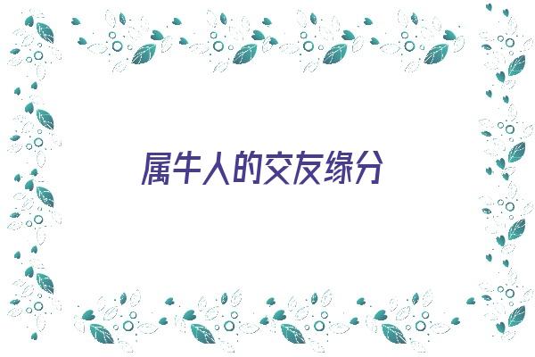 属牛人的交友缘分《属牛人的交友缘分怎么样》