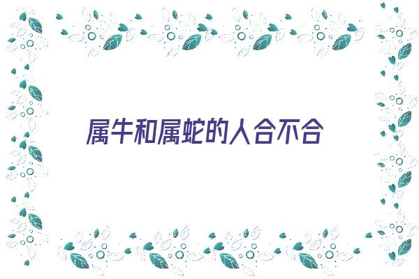 属牛和属蛇的人合不合《属牛和属蛇的人合不合财》