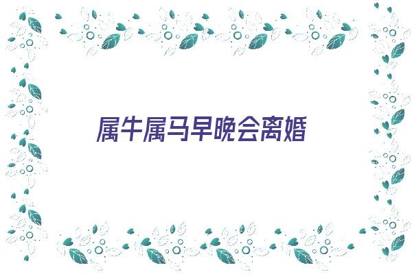 属牛属马早晚会离婚《属牛属马早晚会离婚四大断头婚》