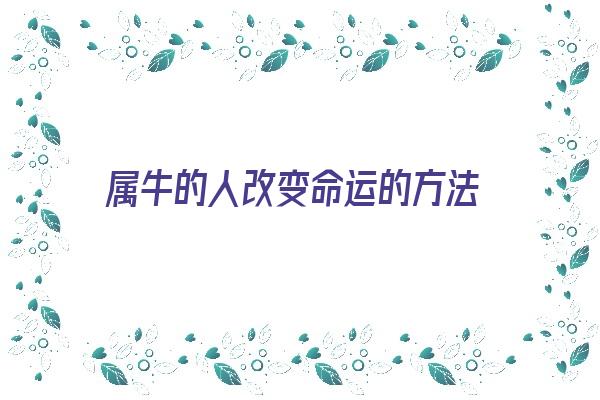 属牛的人改变命运的方法《属牛人如何改变命运》