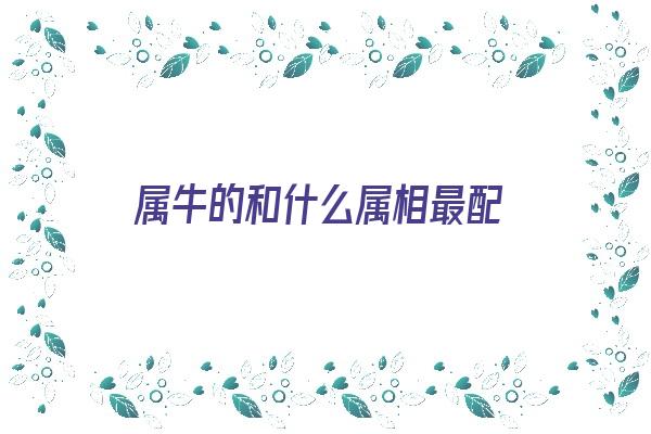 属牛的和什么属相最配《属牛的和什么属相最配,相克相冲》 生肖运势