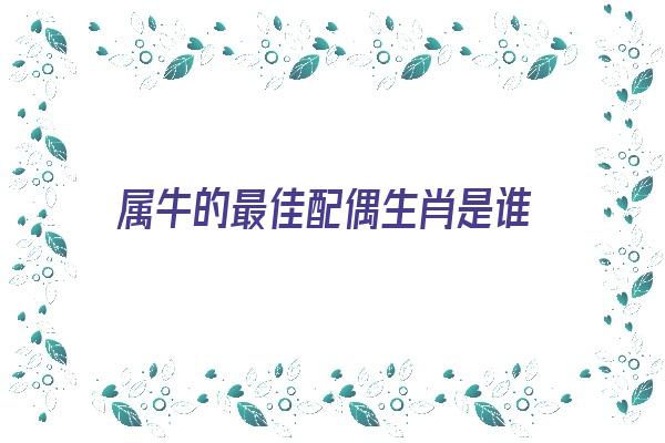  属牛的最佳配偶生肖是谁《属牛的最佳配偶生肖是谁呢》 生肖运势