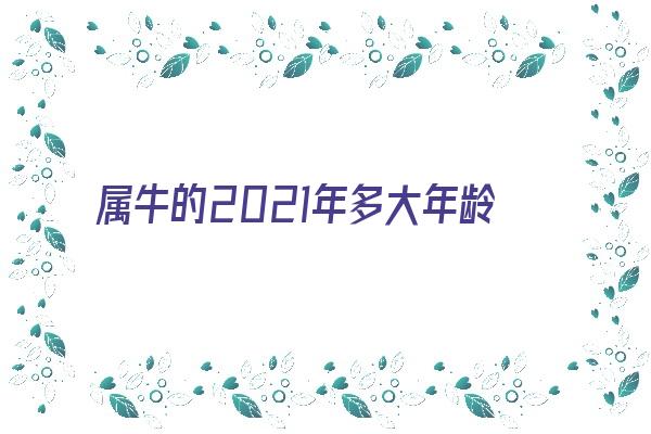 属牛的2021年多大年龄了《属牛的2021年多大年龄了啊》