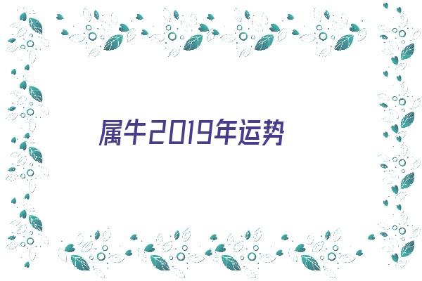 属牛2019年运势《属牛2019年运势及运程》