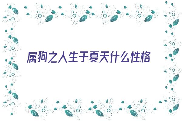 属狗之人生于夏天什么性格《属狗之人生于夏天什么性格呢》