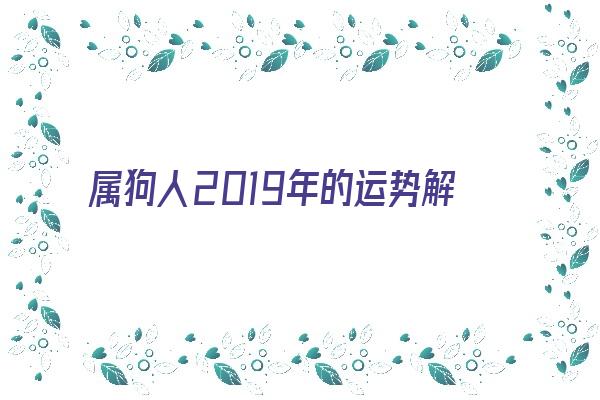 属狗人2019年的运势解析《属狗人2019年的运势解析男》