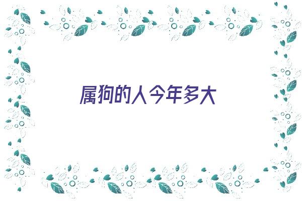 属狗的人今年多大《属狗的人今年多大岁数》