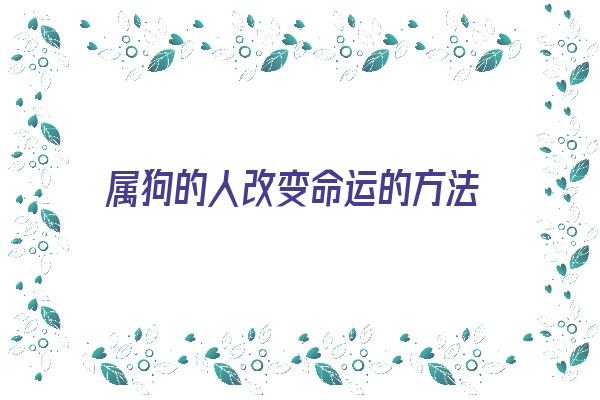 属狗的人改变命运的方法《属狗的人怎么样改变命运》