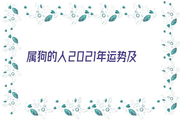 属狗的人2021年运势及运程《属狗的人2021年运势及运程详解》