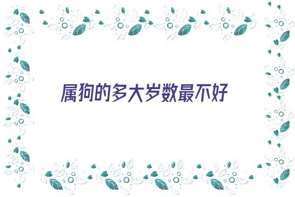 属狗的多大岁数最不好《属狗的多大岁数最不好命》