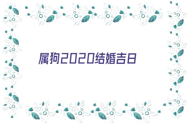 属狗2020结婚吉日《属狗2020年结婚吉日》