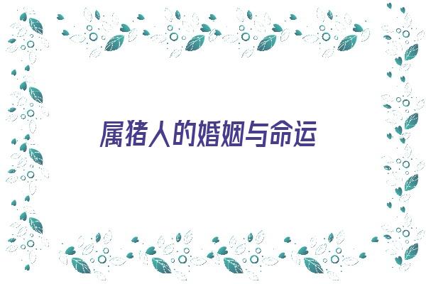 属猪人的婚姻与命运《属猪人的婚姻与命运如何》 生肖运势