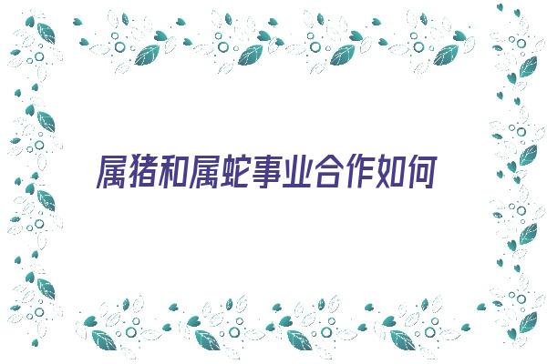  属猪和属蛇事业合作如何《属猪和属蛇事业合作如何相处》 生肖运势