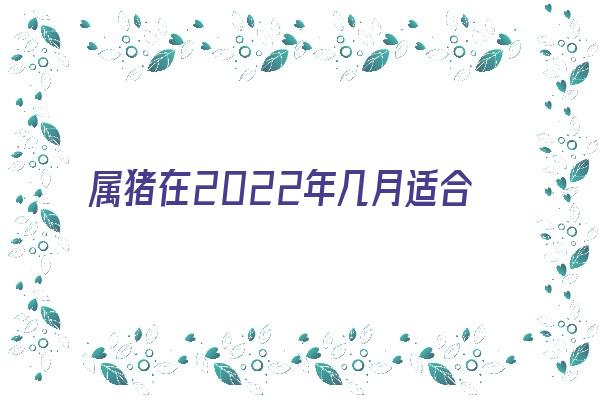 属猪在2022年几月适合结婚《属猪在2022年几月适合结婚呢》