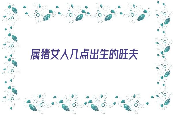 属猪女人几点出生的旺夫《属猪女人几点出生的旺夫呢》