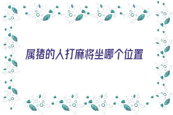  属猪的人打麻将坐哪个位置最好《属猪人打麻将坐哪个方位好》 生肖运势