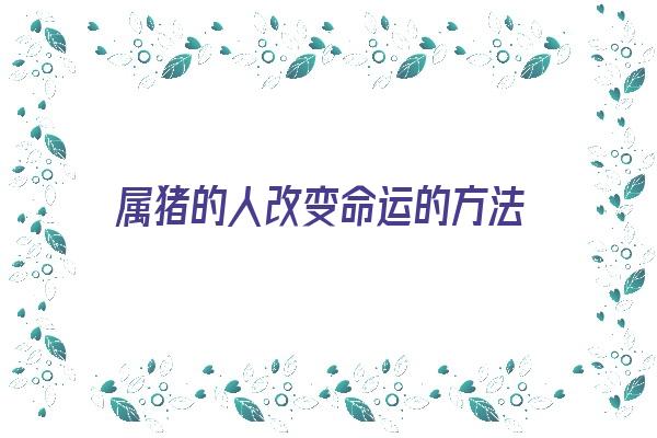 属猪的人改变命运的方法《属猪的人改变命运的十大方法》