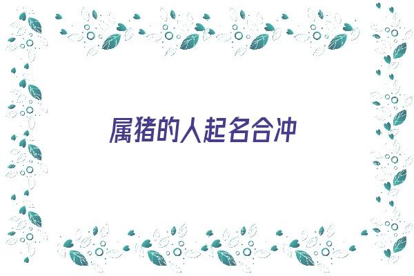 属猪的人起名合冲《属猪人取名字配什么字》