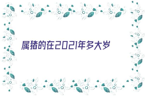  属猪的在2021年多大岁数呢《属猪的在2021年多大岁数呢女》 生肖运势