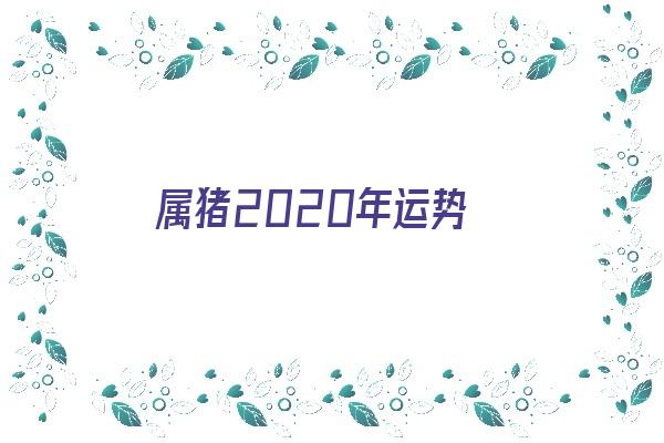 属猪2020年运势《属猪2020年运势及运程详解》