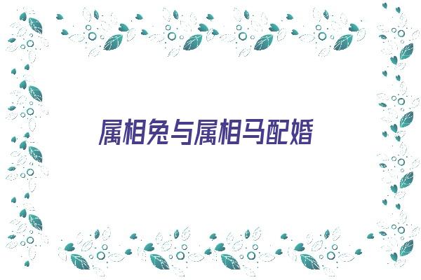 属相兔与属相马配婚《属相兔与属相马配婚好吗》