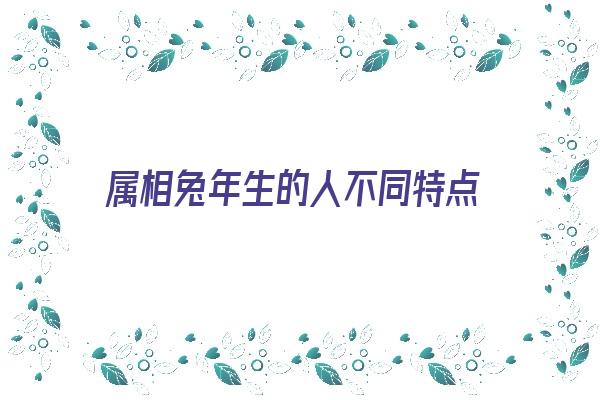 属相兔年生的人不同特点《属兔的生年份》