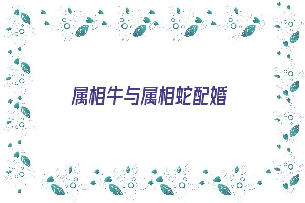  属相牛与属相蛇配婚《属相牛与属相蛇配婚好吗》 生肖运势