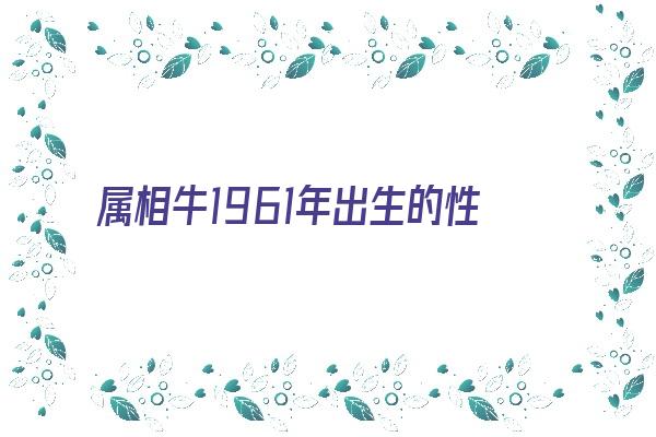 属相牛1961年出生的性格《属相牛1961年出生的性格如何》