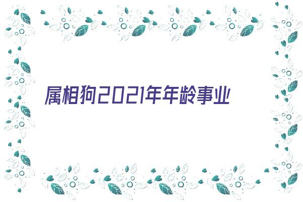 属相狗2021年年龄事业运《属相狗2021年年龄事业运势》