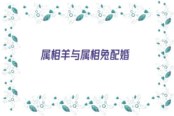 属相羊与属相兔配婚《属相羊与属相兔配婚好吗》