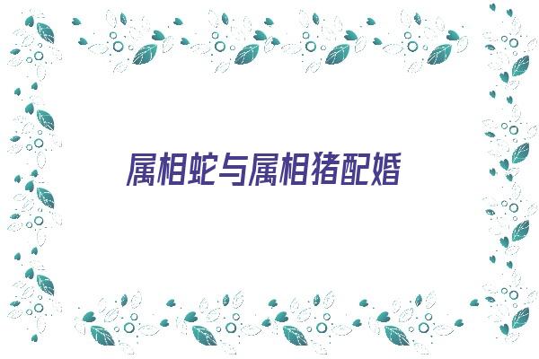  属相蛇与属相猪配婚《属相蛇与属相猪配婚好吗》 生肖运势