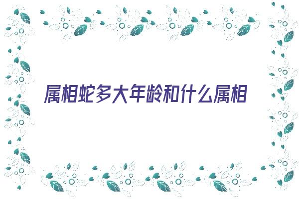  属相蛇多大年龄和什么属相合适呢《属相蛇多大年龄和什么属相合适呢女》 生肖运势