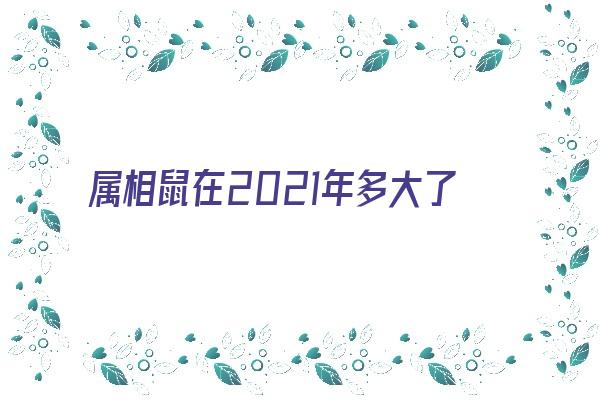 属相鼠在2021年多大了财运怎么样《属相鼠在2021年多大了财运怎么样呢》