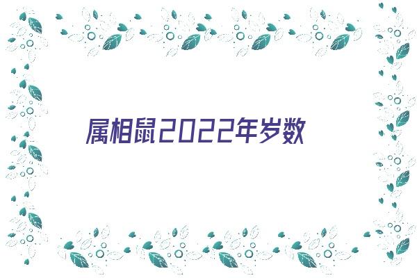 属相鼠2022年岁数《属鼠的2022年多大岁数》