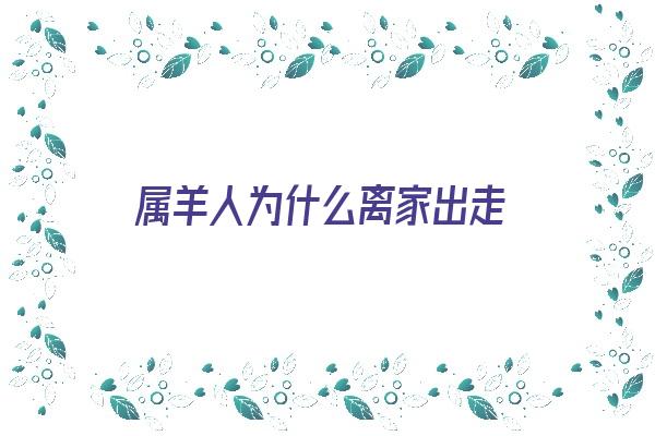 属羊人为什么离家出走《属羊人为什么离家出走呢》