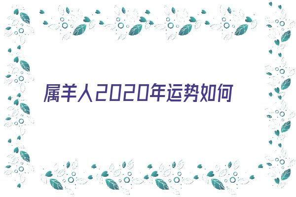  属羊人2020年运势如何《2024年1991属羊人的全年运势如何》 生肖运势