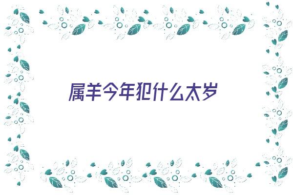 属羊今年犯什么太岁《属羊今年犯什么太岁呢》