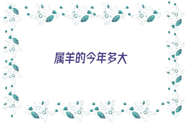 属羊的今年多大《属羊的今年多大岁数》