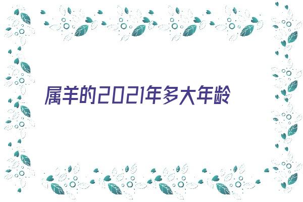 属羊的2021年多大年龄了《属羊的2021年多大年龄了啊》