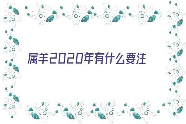 属羊2020年有什么要注意的《属羊2020年有什么要注意的事情》