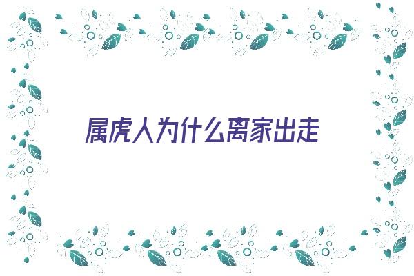 属虎人为什么离家出走《属虎人为什么离家出走呢》