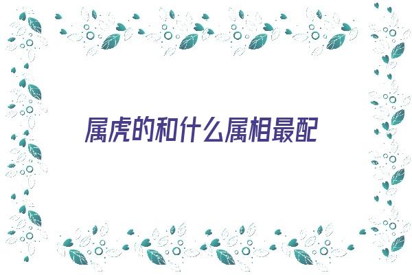 属虎的和什么属相最配《属虎的和什么属相最配婚姻》