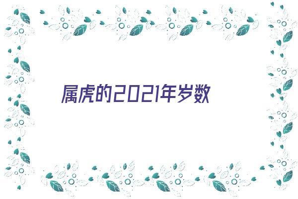 属虎的2021年岁数《属虎的2021年年龄》