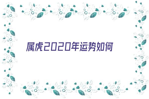 属虎2020年运势如何《2024属虎人的全年运势如何》