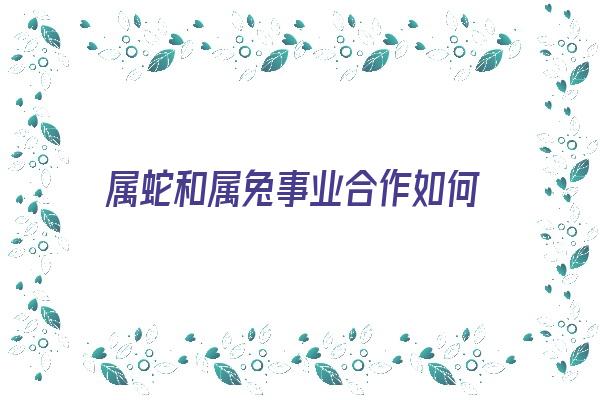 属蛇和属兔事业合作如何《属蛇和属兔事业合作如何相处》