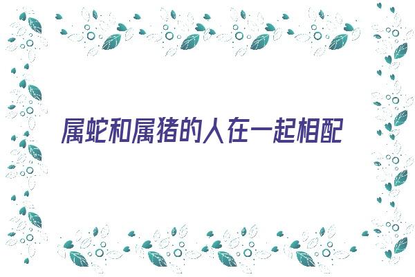  属蛇和属猪的人在一起相配吗《属蛇和属猪的人在一起相配吗会死吗》 生肖运势