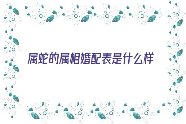 属蛇的属相婚配表是什么样《属蛇属相婚配表大全集》